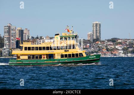 Die Fähre von Sydney mit dem MV Fishburn auf dem Sydney Harbour vorbei an Rushcutters Bay, Sydney, NSW, Australien, 2024 Stockfoto