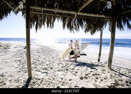 Surfer genießen den Blick auf das Meer in La Jolla, Kalifornien. Stockfoto