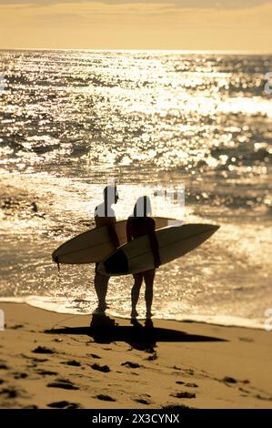 Surfer genießen den Blick auf das Meer bei Sonnenuntergang in La Jolla, Kalifornien. Stockfoto