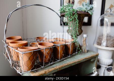 Grundausstattung für Gartenhäuschen, Terrakotta-Pflanzgefäße im Korb. Stockfoto