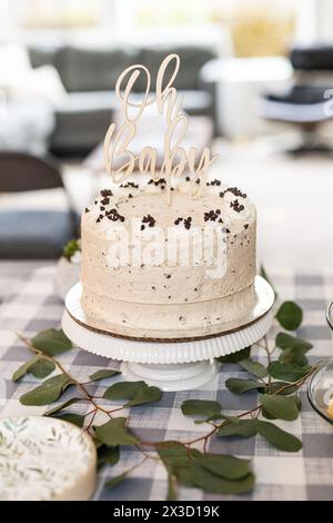 Feierlicher "Oh Baby"-Kuchen auf Gingham-Tuch, Babydusche Stockfoto