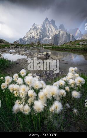 Pelvoux Peaks bei Sonnenaufgang im Sommersturm, Ecrins National Park Stockfoto