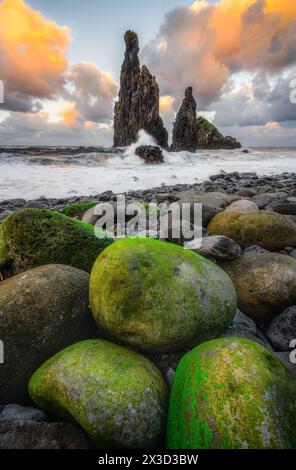 Riesige Seestapel in Ribeira da Janela, die bei Sonnenuntergang von den Wellen zerschmettert werden Stockfoto