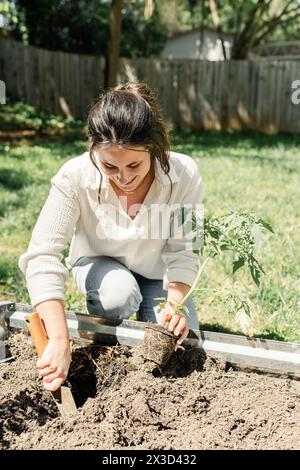 Lächelnde Frau, die Tomatenpflanze in einem sonnigen Gartenbeet pflanzt Stockfoto