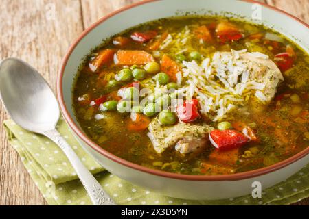 Peruanische Koriander-Hühnersuppe oder Aguadito de Pollo mit Reis und Gemüse in der Nähe auf der Schüssel auf dem Holztisch. Horizontal Stockfoto