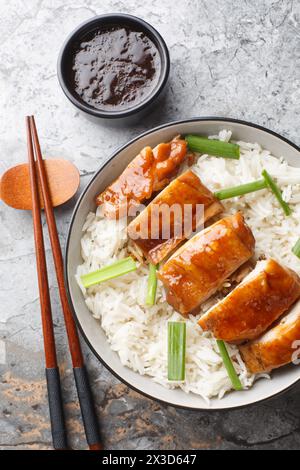 Huhn mit Sojasauce ist ein klassisches chinesisches Gericht, das mit Reis und Dippsoße aus der Nähe auf dem Tisch serviert wird. Vertikale Draufsicht von oben Stockfoto