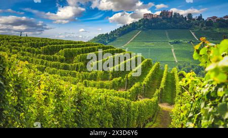 Blick auf die Hügel und Weinberge rund um Barolo in der Region Langhe. Provinz Cuneo, Piemont, Italien. Stockfoto