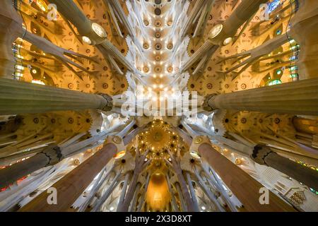 Deckengewölbe, Säulen, Sagrada Familia, Basilika von Antoni Gaudi, Barcelona, Katalonien, Spanien Stockfoto