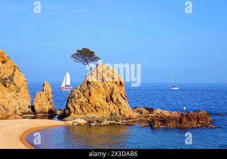 Küstenklippen und Segelboot an der Costa Brava, Spanien, Katalonia, Costa Brava, Tossa de Mar Stockfoto