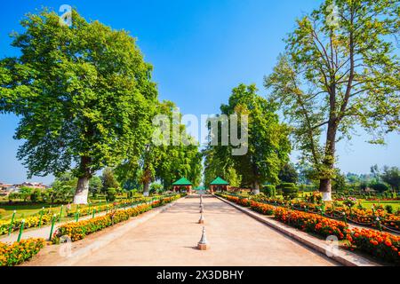 Beauty-Garten in Srinagar Stadt, Jammu und Kaschmir Staat Indien Stockfoto