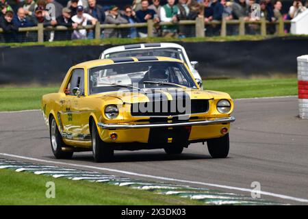 Andy Priaulx, Alex Taylor, Ford Mustang, Ken Miles Cup, ein fünfundvierzigminütiges Rennen für Ford Mustangs mit zwei Fahrern, das bis zu 1966 antrat Stockfoto