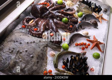 Meeresfrüchte liegen auf dem Ladentisch auf Eis (Oktopus, Flunder, Seesterne, Garnelen, Fisch) Stockfoto