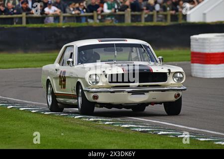 Mike Whitaker Jnr, Andrew Jordan, Ford Mustang, Ken Miles Cup, ein fünfundvierzigminütiges Rennen mit zwei Fahrern für Ford Mustangs, das bis zu 1966 teilnahm, es ist si Stockfoto