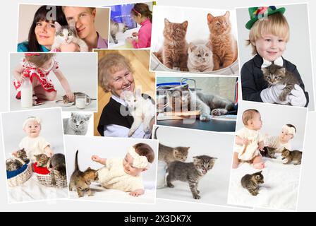 Collage mit drei erwachsenen Menschen und fünf Kindern mit Katzen und Kätzchen an Händen, in Umarmung Stockfoto