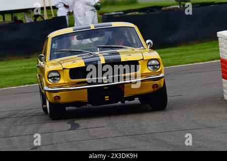 Andy Priaulx, Alex Taylor, Ford Mustang, Ken Miles Cup, ein fünfundvierzigminütiges Rennen für Ford Mustangs mit zwei Fahrern, das bis zu 1966 antrat Stockfoto