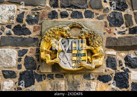 Kursächsisches Wappen, das von Schildhalterlöwen gehalten wird, am Coselturm der Burg Stolpen auf dem Basaltberg von Stolpen, Sachsen. Stockfoto