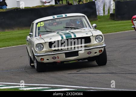 Luke Davenport, Matt Neal, Ford Mustang, Ken Miles Cup, ein fünfundvierzigminütiges Rennen für Ford Mustangs mit zwei Fahrern, das bis zu 1966 antrat Stockfoto