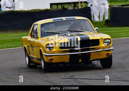 Andy Priaulx, Alex Taylor, Ford Mustang, Ken Miles Cup, ein fünfundvierzigminütiges Rennen für Ford Mustangs mit zwei Fahrern, das bis zu 1966 antrat Stockfoto