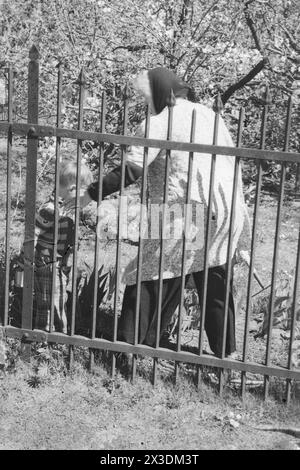 Aktuell 11–1946: Bekannte Landsvikere auf Frifot. Marie Hamsun im Garten. Frau Hamsun schnappte sich wie eine wilde Katze, als dieses Bild gemacht wurde, und jagte die Enkel vom Fotografen weg.Foto: Th Skotaam / aktuell / NTB **Foto ist nicht bildverarbeitet*** dieser Bildtext wird automatisch übersetzt Stockfoto