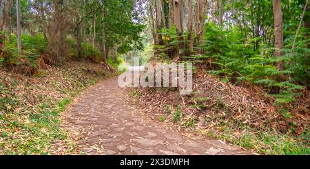 Küstenpfad Miradores, Kantabrische Küste, Natura-2000-Netz, Naturschutzgebiet, Muros de Nalón, Principado de Asturias, Spanien, Europa Stockfoto