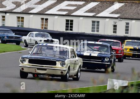 Fred Shepherd, Timo Bernhard, Ford Mustang, Ken Miles Cup, ein fünfundvierzigminütiges Rennen für Ford Mustangs, das bis 1966 antrat, es ist sechzig Stockfoto