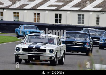 Alex Buncombe, Richard Taffinder, Ford Mustang, Ken Miles Cup, ein fünfundvierzigminütiges Rennen mit zwei Fahrern für Ford Mustangs, das bis zu 1966 teilnahm, es ist si Stockfoto