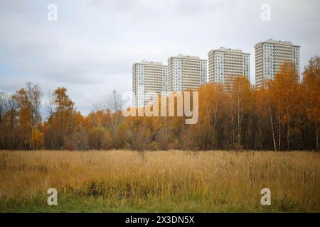 Herbstliche Landschaft mit gelblichen Birken und Gras vor vier Gebäuden mit Komplex und Himmel Stockfoto