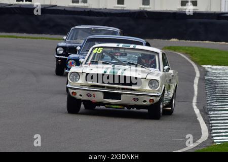 Luke Davenport, Matt Neal, Ford Mustang, Ken Miles Cup, ein fünfundvierzigminütiges Rennen für Ford Mustangs mit zwei Fahrern, das bis zu 1966 antrat Stockfoto