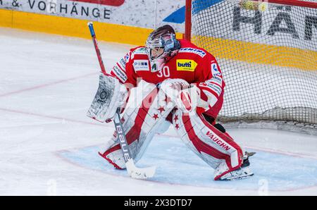SC Rapperswil-Jona Lakers Torhüter #30 Roby Mettler während dem Spiel gegen den EHC Biel-Bienne Spirit in der St. Galler Kantonalbank Arena. (Rappersw Stockfoto