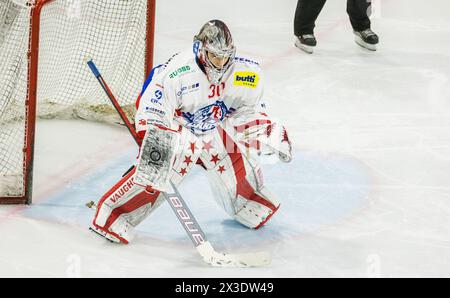 SC Rapperswil-Jona Lakers Torhüter #30 Roby Mettler ist, während dem Spiel gegen den EHC Kloten in der Stimo Arena, aufmerksam auf das Spielgeschehen Stockfoto