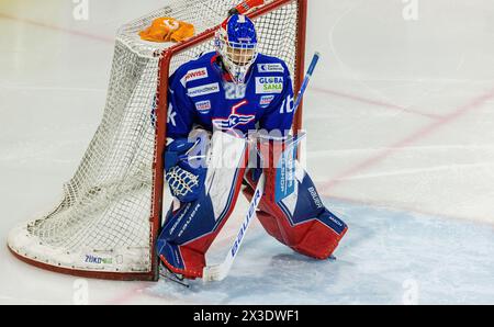 EHC Kloten Torhüter #20 Timo Johner während dem Spiel gegen die SC Rapperswil-Jona Lakers in der Stimo Arena. (Kloten, Schweiz, 04.02.2023) Stockfoto
