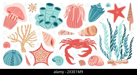 Handgezeichnetes Set aus SEA LIFE-Elementen. Wassertiere, Anemonen, Krabben, Algen, Muscheln, Seesterne, Korallenriffpflanzen. Trendiges, flaches Doodle-Set für Unterwasser-Ökosystem für dein Design. Vektorabbildung Stock Vektor