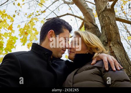 Mann und Frau reiben Nasen, die am Herbsttag unter dem Ahornbaum stehen. Stockfoto