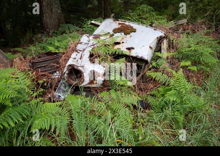 Das Wrack eines Autos rostet am 20. April 2024 in Santa Antonio do Serra, Madeira, Portugal. Stockfoto