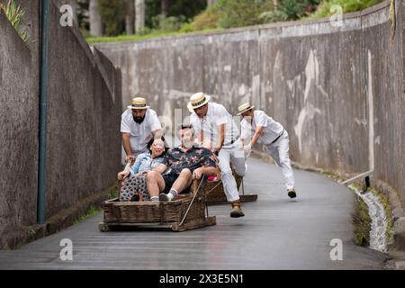 Touristenpassagiere fahren Funchals berühmte „Carreiros de Monte“-Rodelfahrt am 19. April 2024 in Funchal, Madeira, Portugal. (Erweiterter Titel unter „zusätzliche Informationen“). Stockfoto