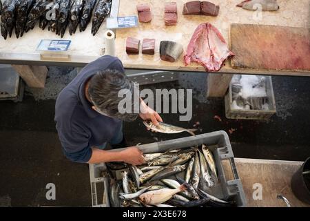 Luftaufnahme eines Fischstandhalters, der seine Ausstellung im Mercado Dos Lavradores am 18. April 2024 in Funchal, Madeira, Portugal, vorbereitet. Stockfoto