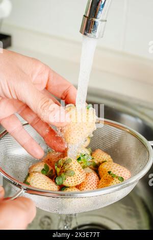 Nahaufnahme eines Mannes, der weiße Erdbeeren in einem Sieb unter fließendem Wasser des Küchenhahns spült Stockfoto