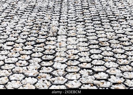 geogitter gefüllt mit kleinen Steinen im Garten. Stockfoto