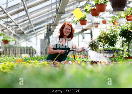 Frau Blumen gießen in einer Baumschule - Gewächshaus mit farbigen Pflanzen zum Verkauf Stockfoto