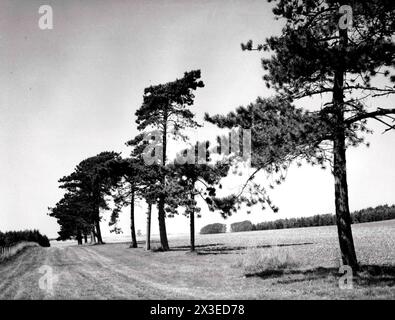 Bredon Hill, Hereford & Worcester - 27. August 1981 Stockfoto