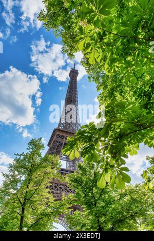 Der Frühling eröffnet dem berühmten Pariser Eiffelturm eine neue Perspektive und blickt durch das lebendige Laub. Stockfoto
