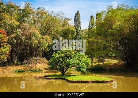 Peradeniya Royal Botanic Gardens in der Nähe von Kandy Stadt, Sri Lanka. Die Königlichen Botanischen Gärten von Peradeniya sind der größte der botanischen Gärten Sri Stockfoto