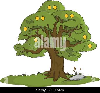 Illustration des Mangobaums Stock Vektor