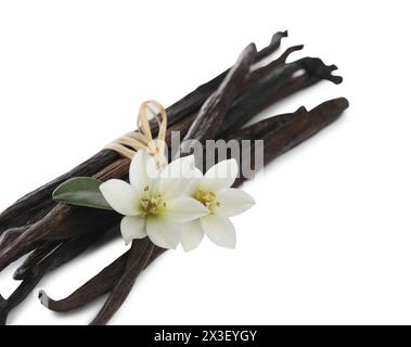 Vanilleschoten, grünes Blatt und Blumen isoliert auf weiß Stockfoto