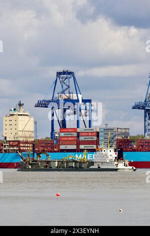 Nachlaufsaugbehälter Dredger „Sospan Dau“, beteiligt an Baggerarbeiten in Harwich Harbour. Stockfoto