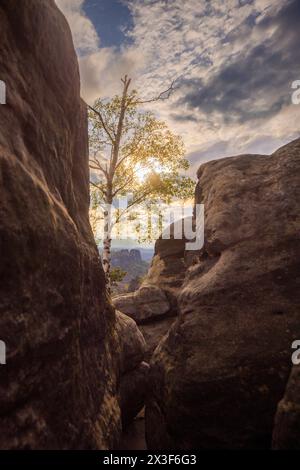 Sächsische Schweiz Aussicht vom Carolafelsen auf die Schrammsteinkette, den Falkenstein und den Lilienstein. Bad Schandau Sachsen Deutschland *** Sächsische Schweiz Blick auf die Schrammsteinkette, den Falkenstein und den Lilienstein vom Carola Rock Bad Schandau Sachsen Deutschland Stockfoto