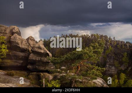 Sächsische Schweiz Aussicht vom Carolafelsen auf die Schrammsteinkette, den Falkenstein und den Lilienstein. Bad Schandau Sachsen Deutschland *** Sächsische Schweiz Blick auf die Schrammsteinkette, den Falkenstein und den Lilienstein vom Carola Rock Bad Schandau Sachsen Deutschland Stockfoto