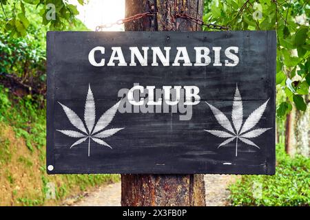 26. April 2024: Schild auf einem Baum umgeben von grünen Blättern mit einem Hanfblatt-Symbol und der Aufschrift: Cannabis Club. FOTOMONTAGE *** Schild an einem Baum umgeben von grünen Blättern mit einem Hanfblatt Symbol und der Aufschrift: Cannabis Club. FOTOMONTAGE Stockfoto