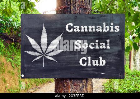 26. April 2024: Schild auf einem Baum umgeben von grünen Blättern mit einem Hanfblatt-Symbol und der Aufschrift: Cannabis Social Club. FOTOMONTAGE *** Schild an einem Baum umgeben von grünen Blättern mit einem Hanfblatt Symbol und der Aufschrift: Cannabis Social Club. FOTOMONTAGE Stockfoto