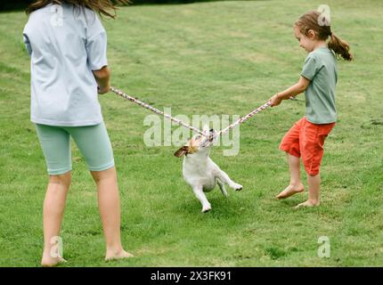 Hund, der an einem Seil mit Kindern zieht, spielt mit einem Tauziehen-of-war-Spiel Stockfoto